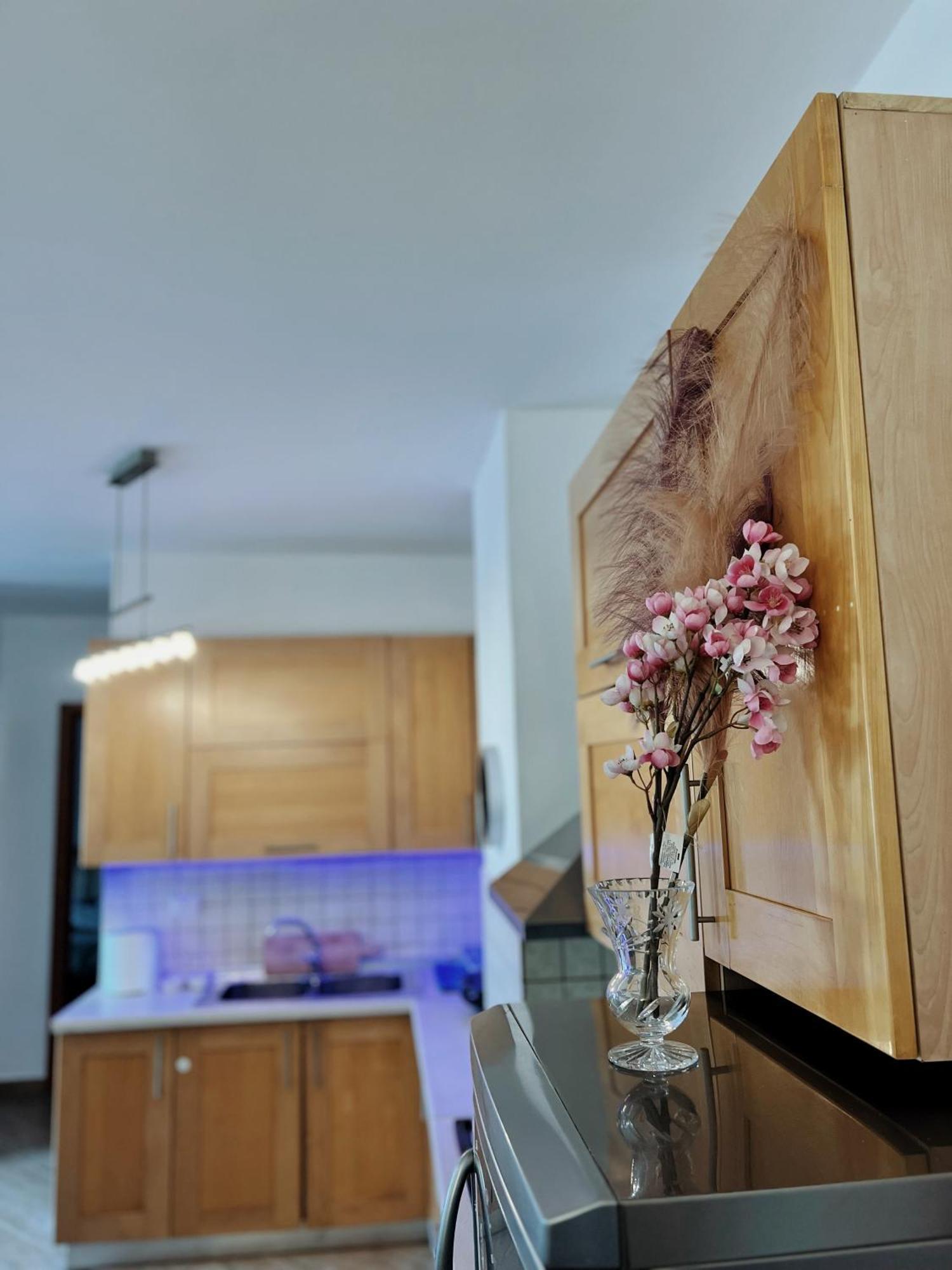 Lovely Apartment ティラナ エクステリア 写真