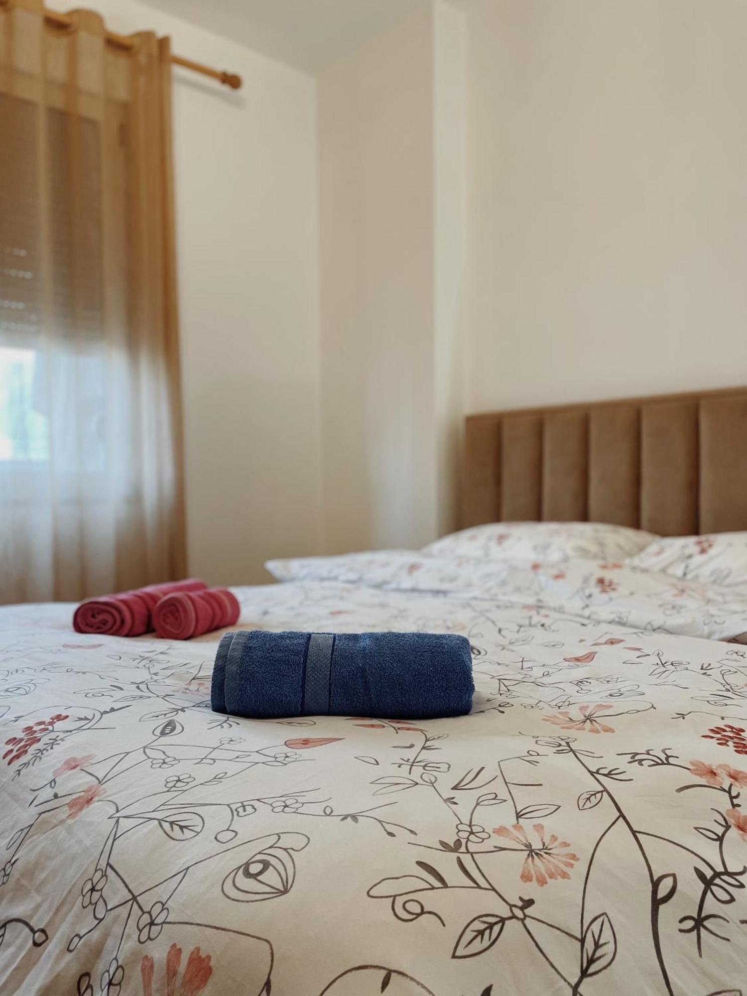 Lovely Apartment ティラナ エクステリア 写真