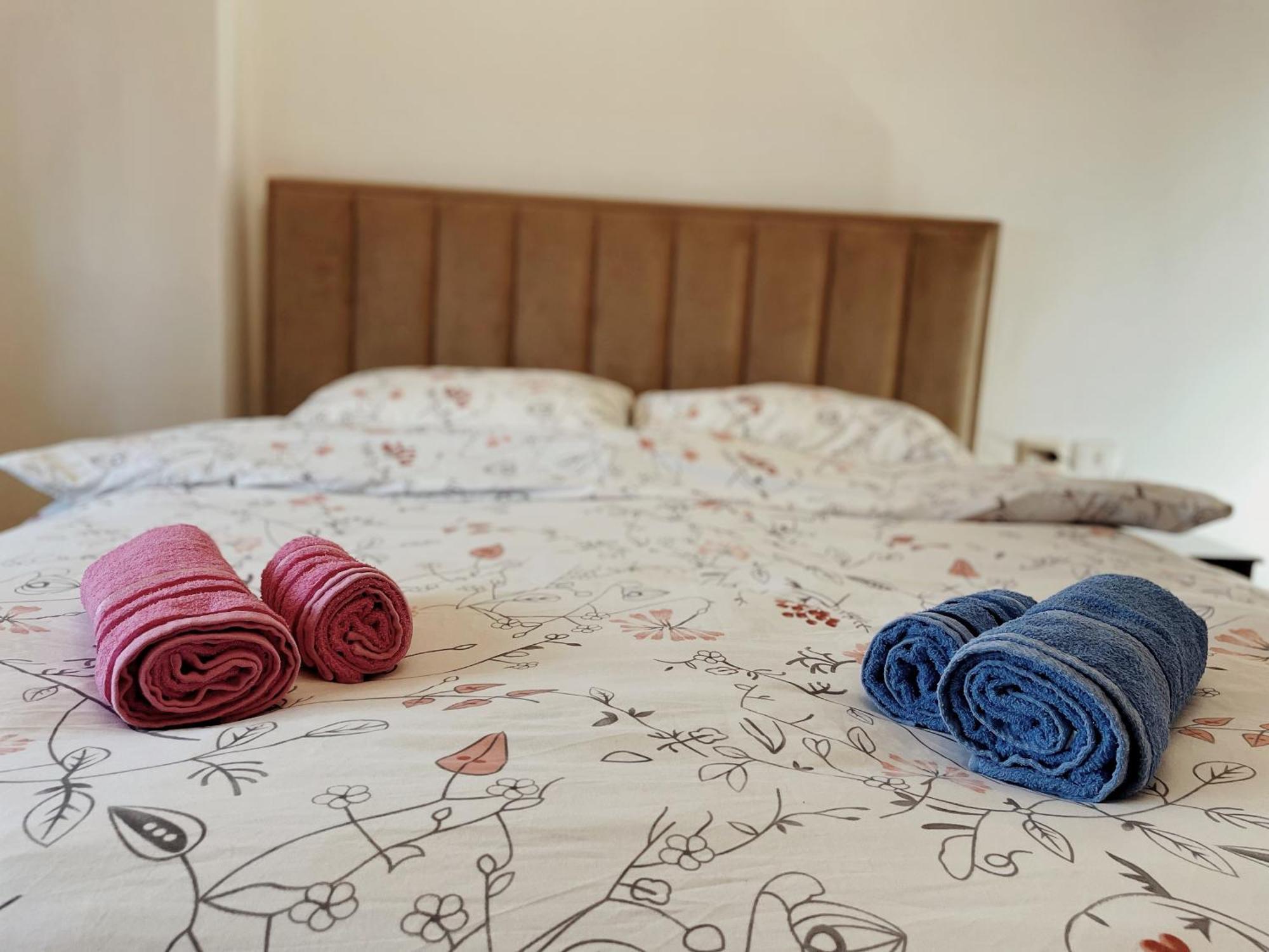 Lovely Apartment ティラナ エクステリア 写真